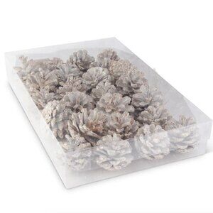 Box of 24 White Glitter Pine Cones